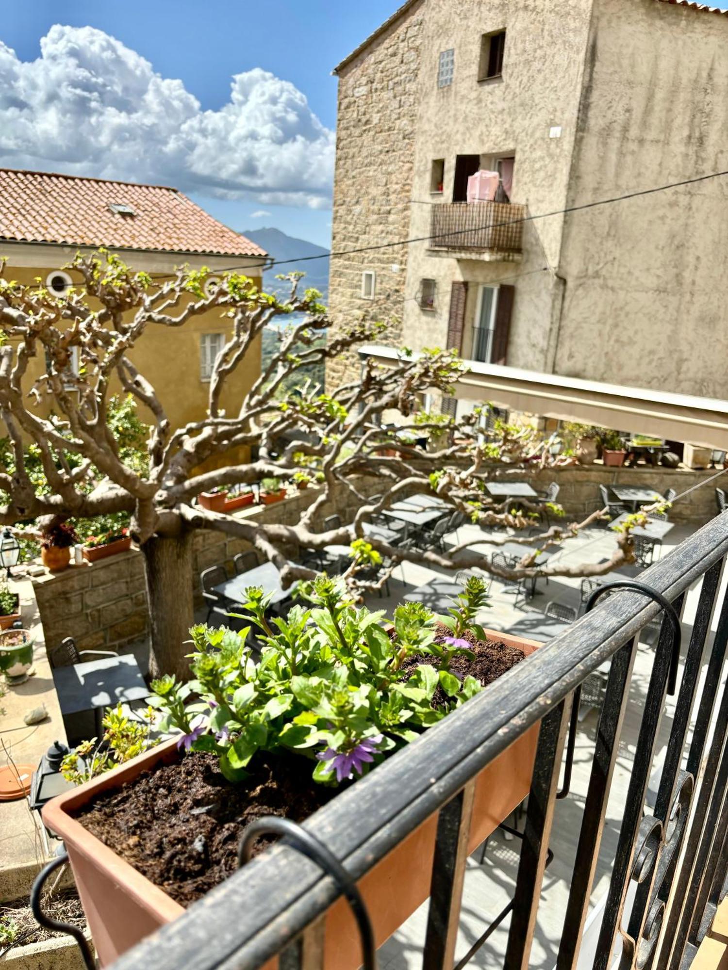 Hoetel U Santa Maria Olmeto  Habitación foto
